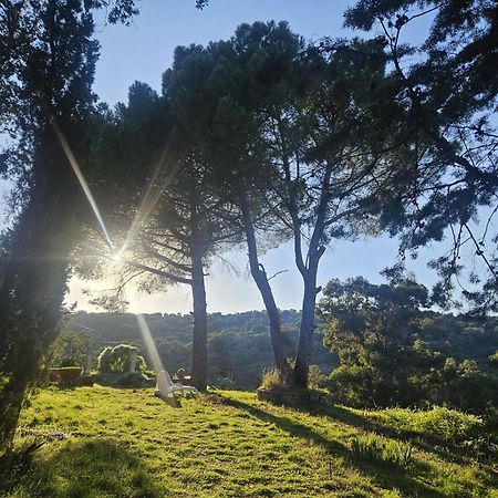 Casa Rural Camino De Hierro I Y II La Fregeneda Εξωτερικό φωτογραφία