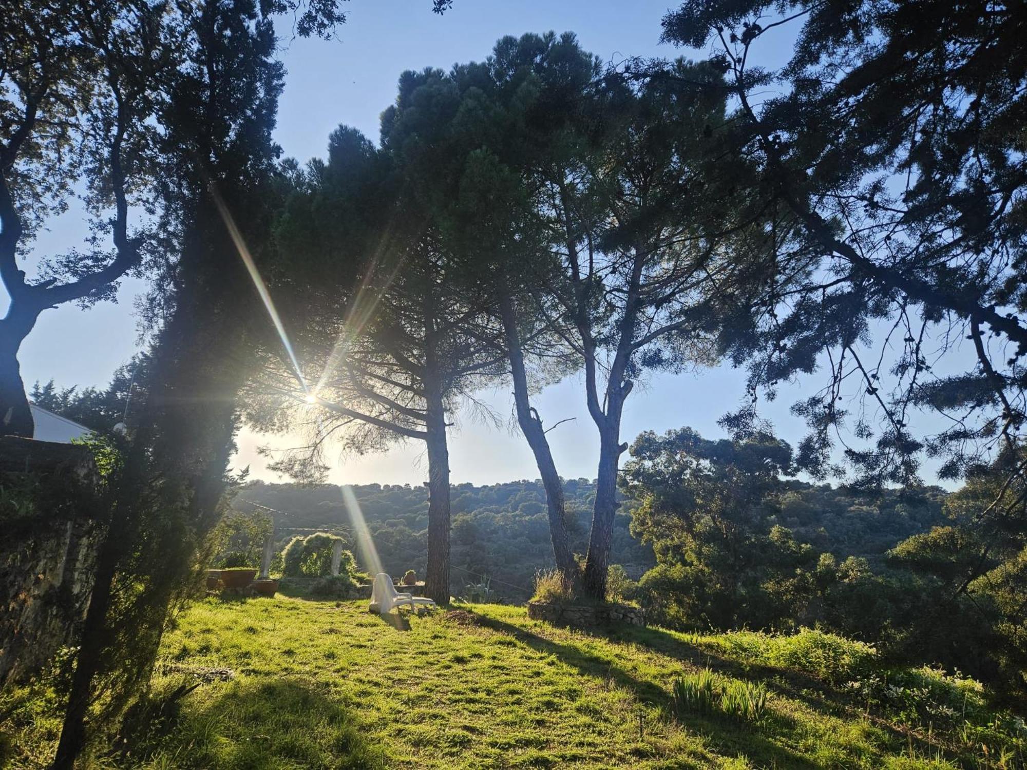 Casa Rural Camino De Hierro I Y II La Fregeneda Εξωτερικό φωτογραφία