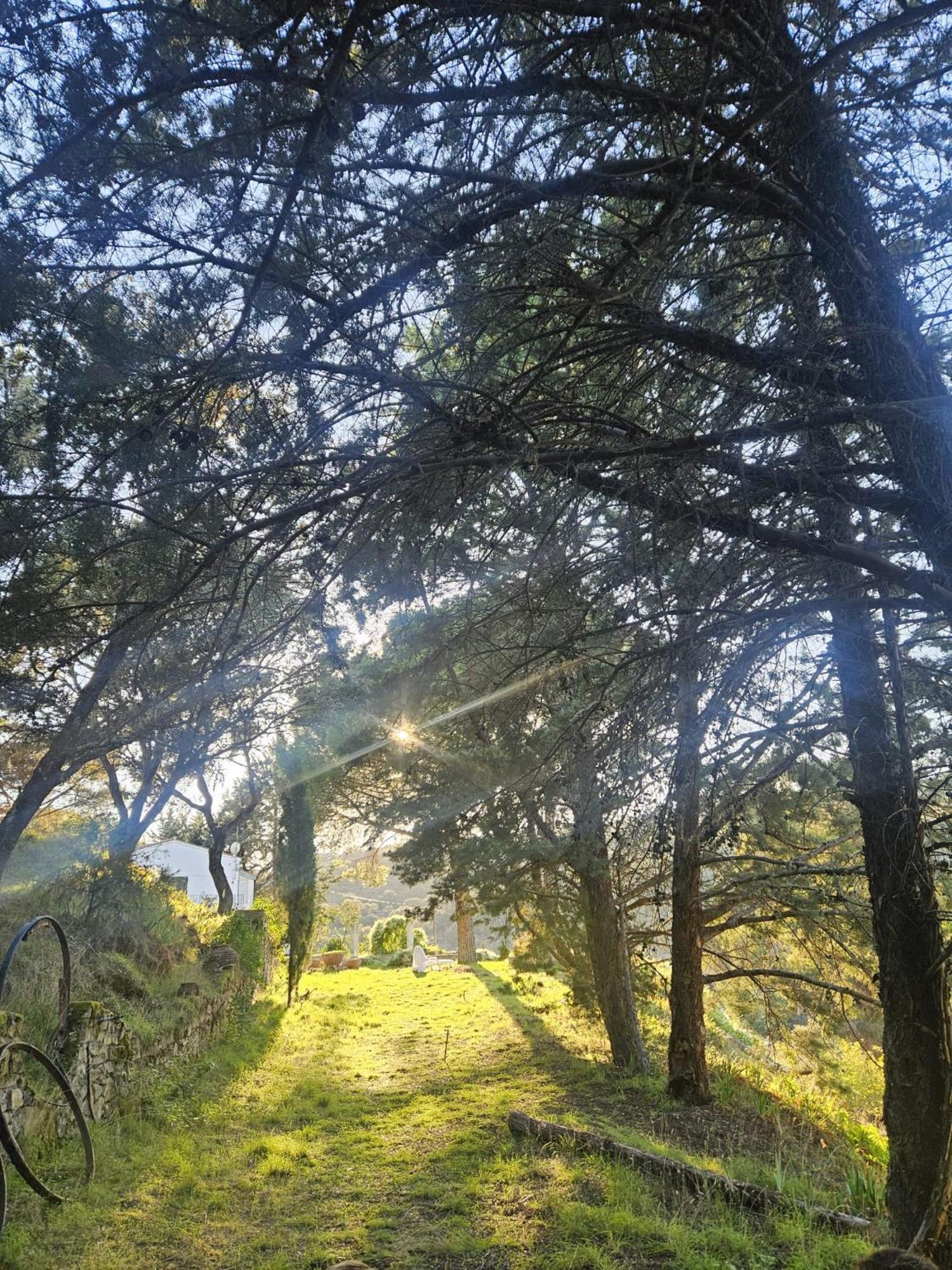 Casa Rural Camino De Hierro I Y II La Fregeneda Εξωτερικό φωτογραφία