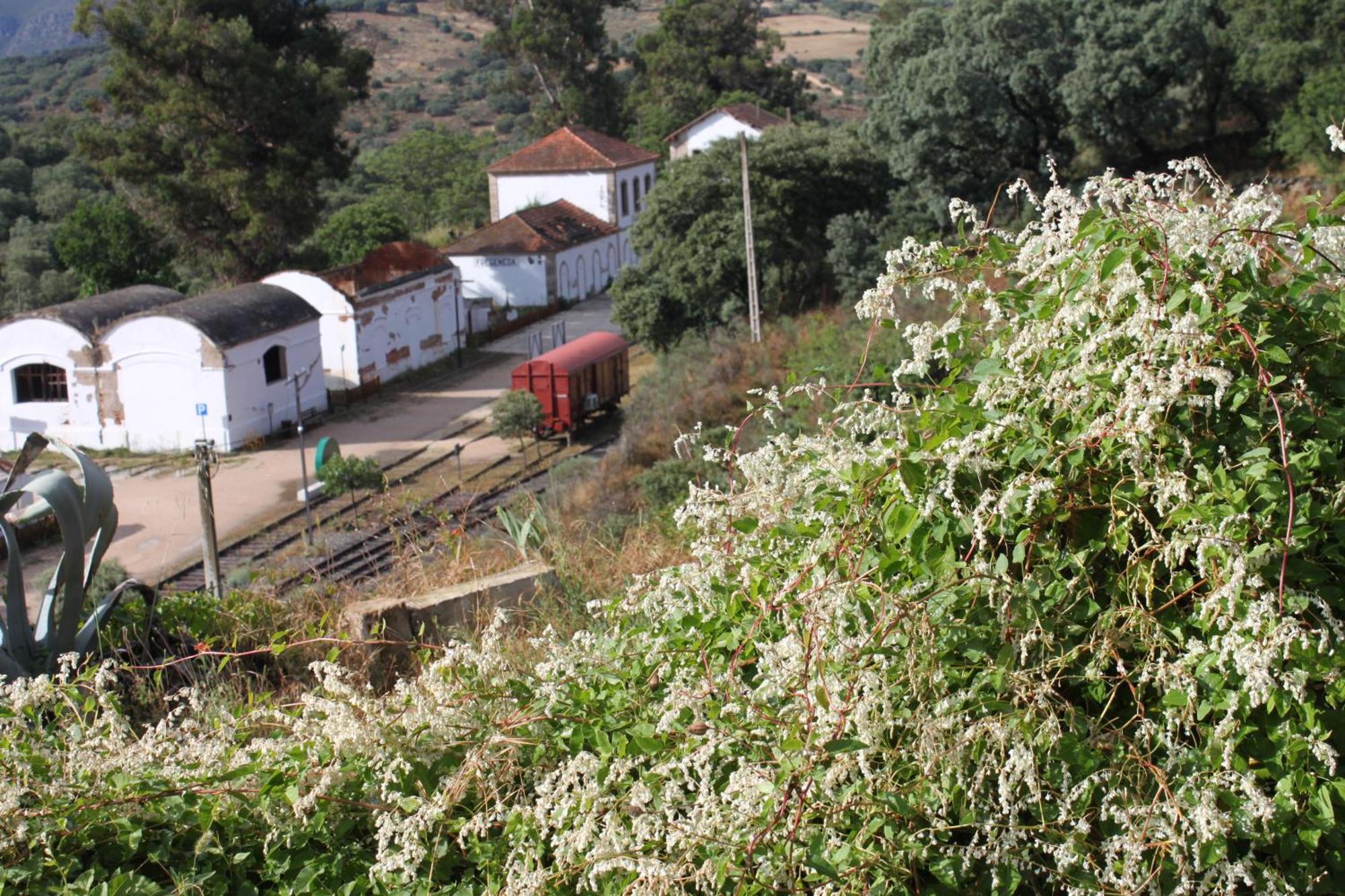 Casa Rural Camino De Hierro I Y II La Fregeneda Εξωτερικό φωτογραφία