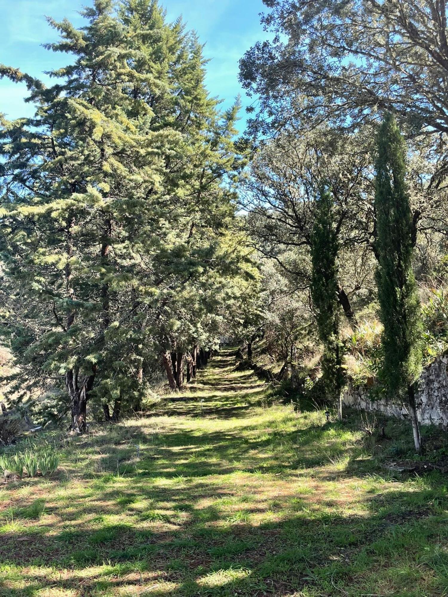 Casa Rural Camino De Hierro I Y II La Fregeneda Εξωτερικό φωτογραφία